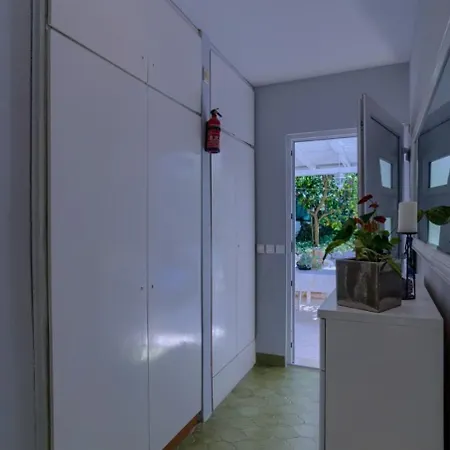 Vedro *